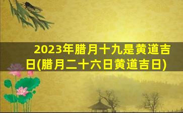 2023年腊月十九是黄道吉日(腊月二十六日黄道吉日)