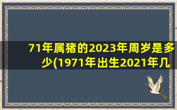 71年属猪的2023年周岁是多少(1971年出生2021年几岁)