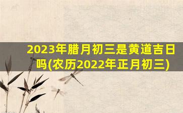 2023年腊月初三是黄道吉日吗(农历2022年正月初三)