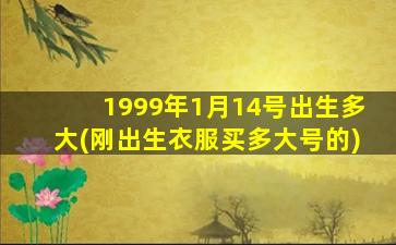 1999年1月14号出生多大(刚出生衣服买多大号的)