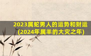 2023属蛇男人的运势和财运