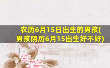 农历6月15日出生的男孩(男孩阴历6月15出生好不好)