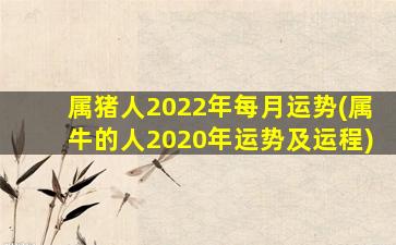 属猪人2022年每月运势(属牛