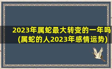 2023年属蛇最大转变的一年