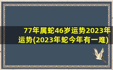 77年属蛇46岁运势2023年运势