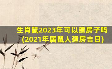 生肖鼠2023年可以建房子吗