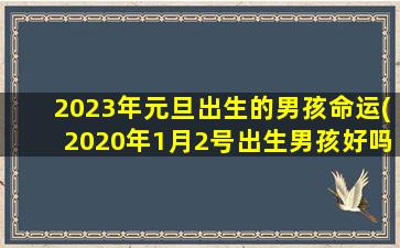 2023年元旦出生的男孩命运(2020年1月2号出生男孩好吗)