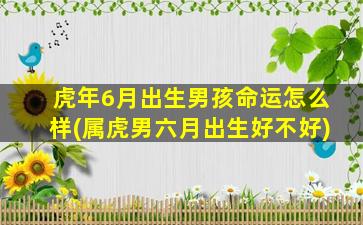 虎年6月出生男孩命运怎么样(属虎男六月出生好不好)