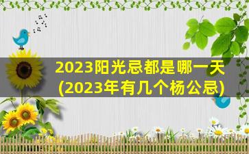 2023阳光忌都是哪一天(2023年有几个杨公忌)