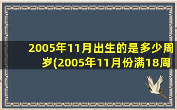 2005年11月出生的是多少周岁(2005年11月份满18周岁了吗)