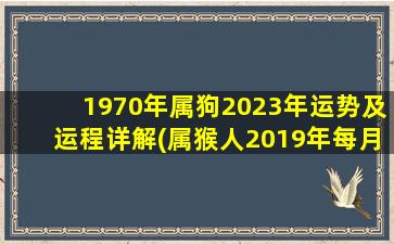 1970年属狗2023年运势及运程