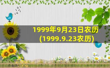 1999年9月23日农历(1999.9.23农历)