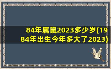 84年属鼠2023多少岁(1984年出生今年多大了2023)