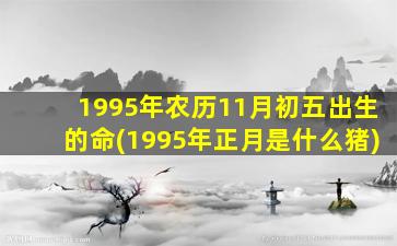 1995年农历11月初五出生的命(1995年正月是什么猪)