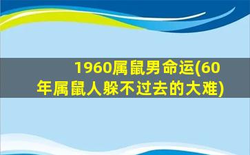 1960属鼠男命运(60年属鼠人