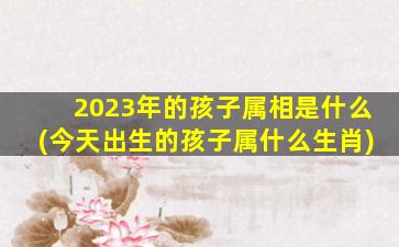 2023年的孩子属相是什么(今天出生的孩子属什么生肖)