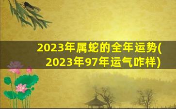 2023年属蛇的全年运势(20