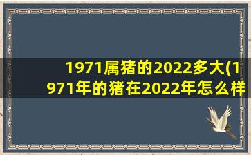 <strong>1971属猪的2022多大(1971年的</strong>