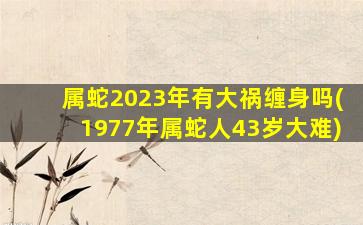 <strong>属蛇2023年有大祸缠身吗</strong>