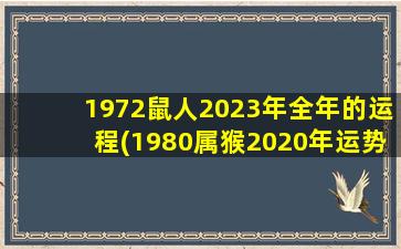 1972鼠人2023年全年的运程