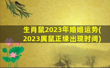 生肖鼠2023年婚姻运势(20