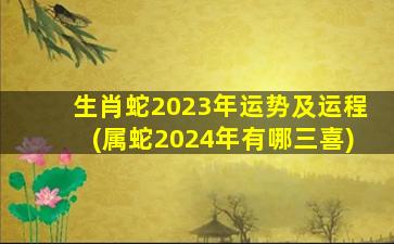 生肖蛇2023年运势及运程