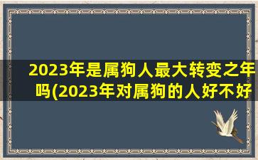 2023年是属狗人最大转变之