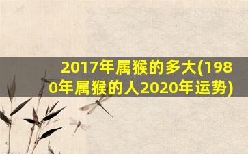 2017年属猴的多大(1980年属猴的人2020年运势)