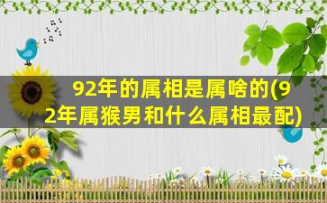 92年的属相是属啥的(92年属猴男和什么属相最配)