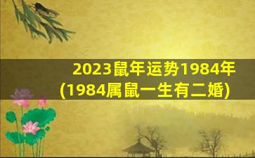 2023鼠年运势1984年(1984属鼠