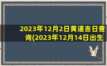 2023年12月2日黄道吉日查询(2023年12月14日出生的宝宝)