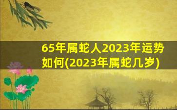 65年属蛇人2023年运势如何