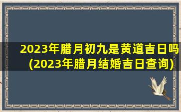 <b>2023年腊月初九是黄道吉日吗(2023年腊月结婚吉日查询)</b>