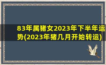 83年属猪女2023年下半年运