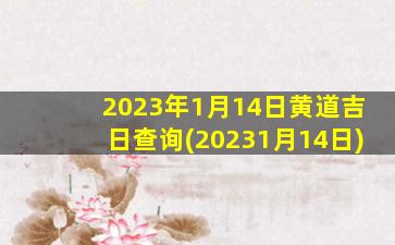 2023年1月14日黄道吉日查询(20231月14日)