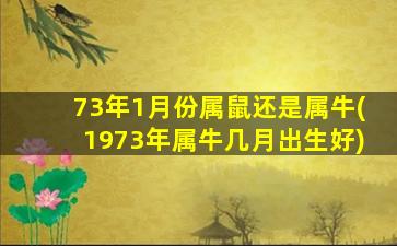 73年1月份属鼠还是属牛(1973年属牛几月出生好)