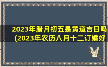 <b>2023年腊月初五是黄道吉日吗(2023年农历八月十二订婚好吗)</b>