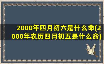 2000年四月初六是什么命(2000年农历四月初五是什么命)