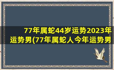 77年属蛇44岁运势2023年运势