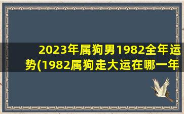 2023年属狗男1982全年运势