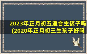 2023年正月初五适合生孩子吗(2020年正月初三生孩子好吗)