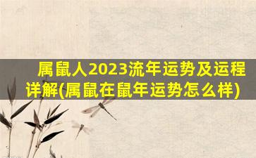 属鼠人2023流年运势及运程