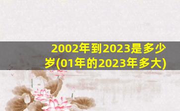 2002年到2023是多少岁(01年的2023年多大)