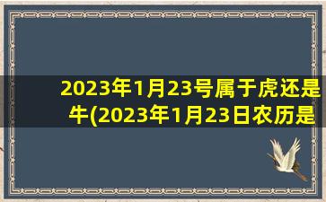 2023年1月23号属于虎还是牛(2023年1月23日农历是多少)