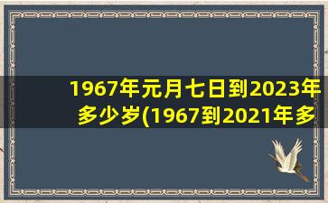 1967年元月七日到2023年多少岁(1967到2021年多少岁)