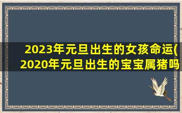 <b>2023年元旦出生的女孩命运(2020年元旦出生的宝宝属猪吗)</b>