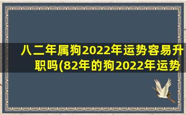 八二年属狗2022年运势容易升职吗(82年的狗2022年运势及运程每月运程)