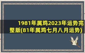 <strong>1981年属鸡2023年运势完整版</strong>