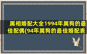 属相婚配大全1994年属狗的