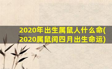 2020年出生属鼠人什么命